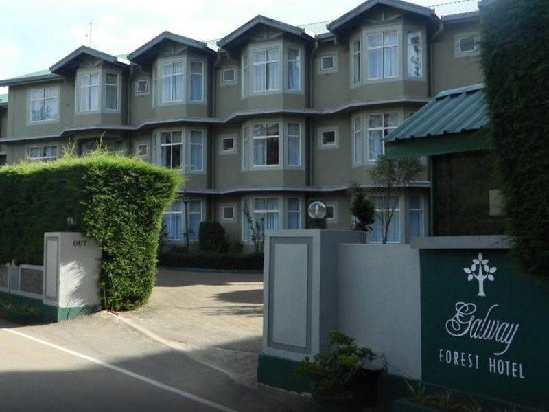 Galway Forest Lodge Hotel Нувара Елия Екстериор снимка